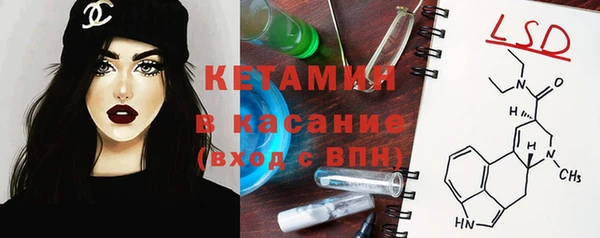 дмт Алзамай