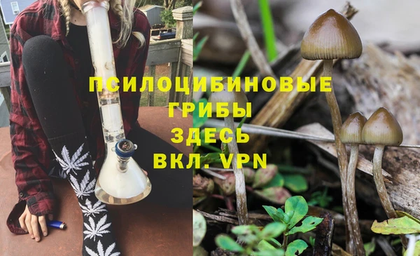 дмт Алзамай