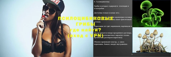 дмт Алзамай
