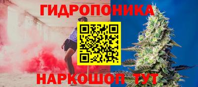 амф Пушкино