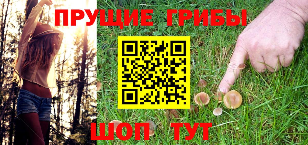 Старая Купавна  Псилоцибиновые грибы GOLDEN TEACHER  Вход с VPN 